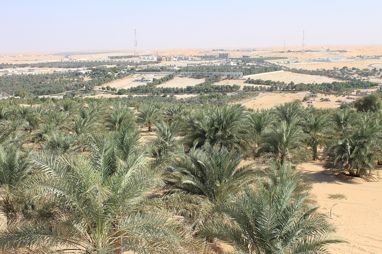 Commons: Liwa Oasis