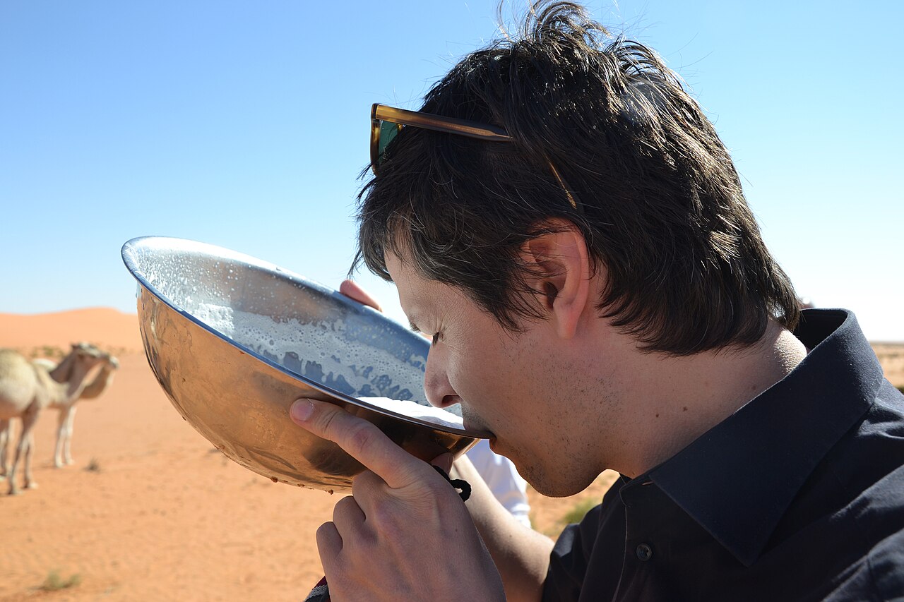 Commons: camel milk