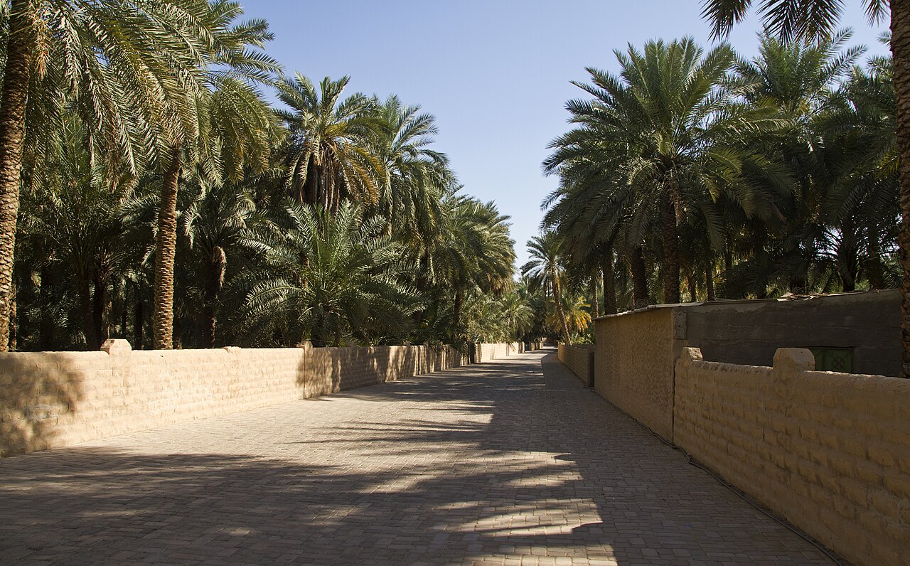 Commons: Al Ain Oasis