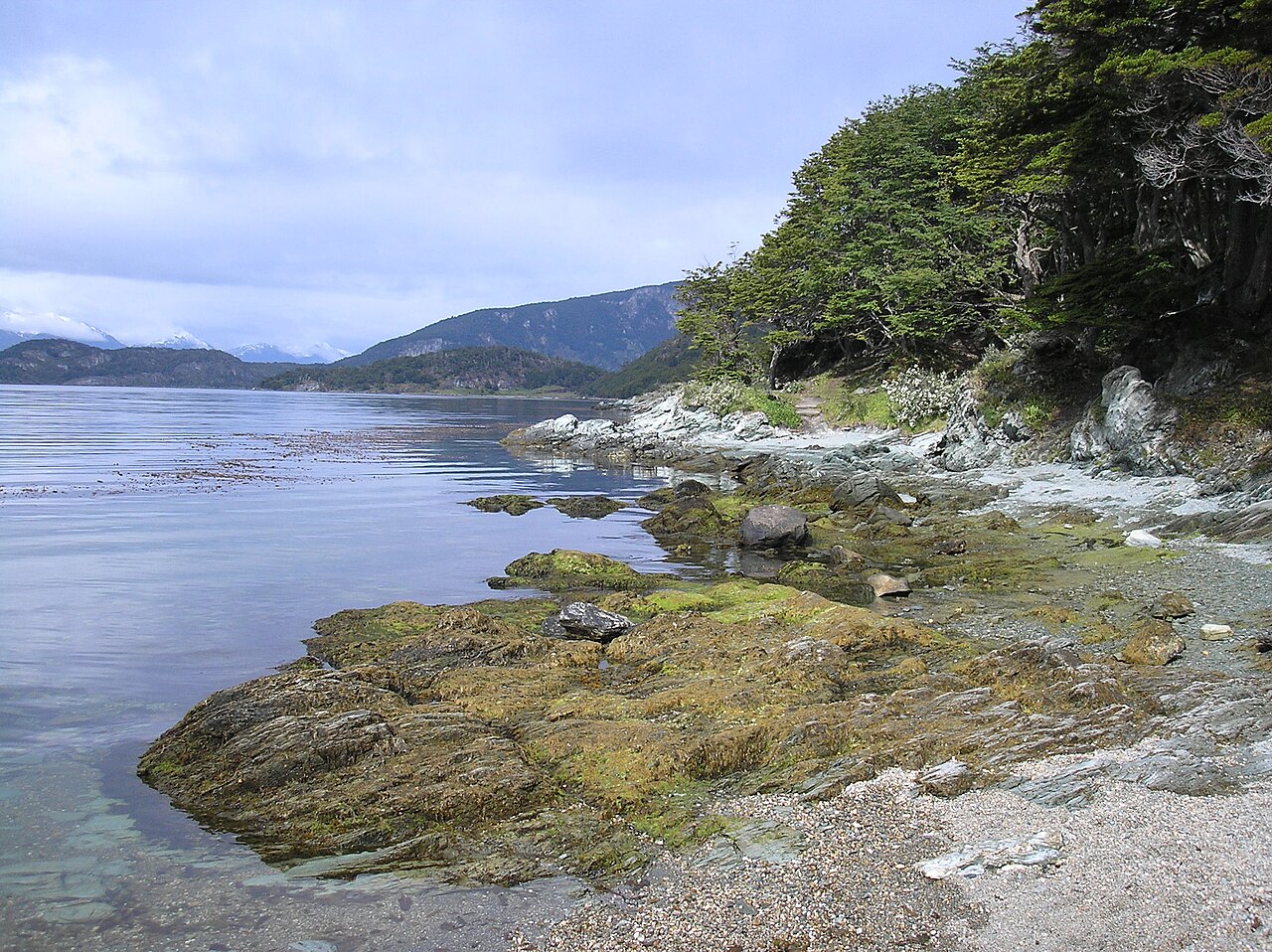Commons: Parque Nacional Tierra del Fuego