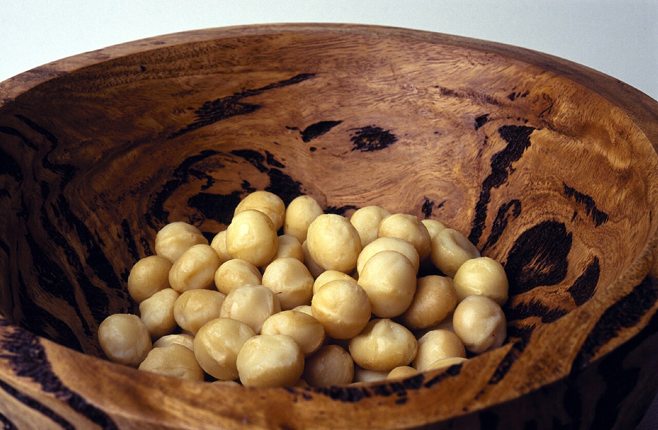 Commons: macadamia nuts Australia