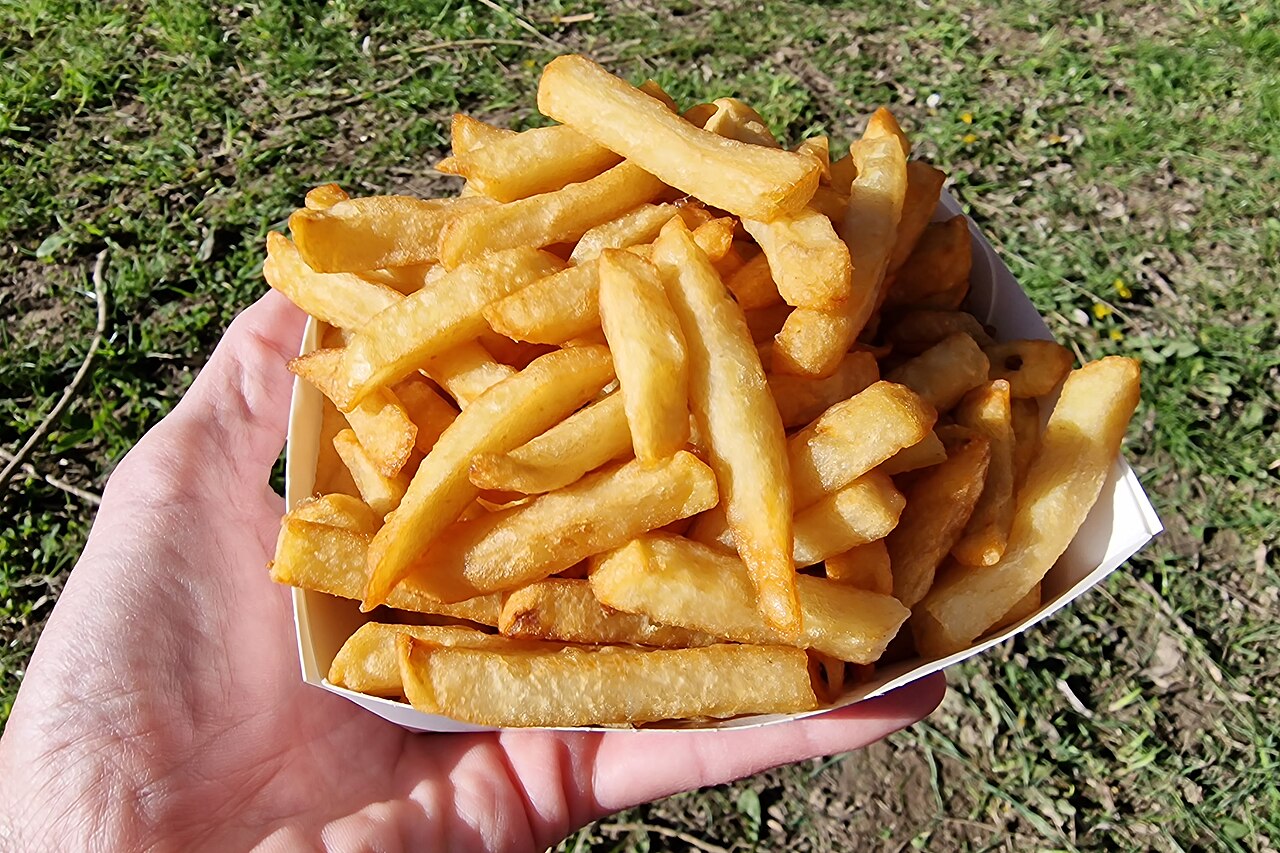 Commons: Belgian fries Belgium