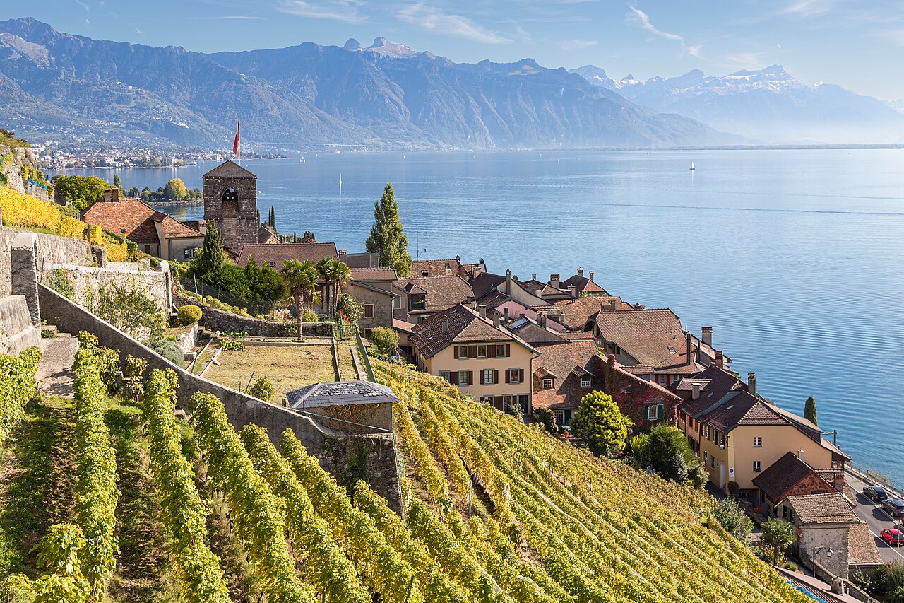 Commons: Lavaux vineyard terraces