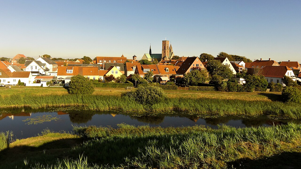 Ribe