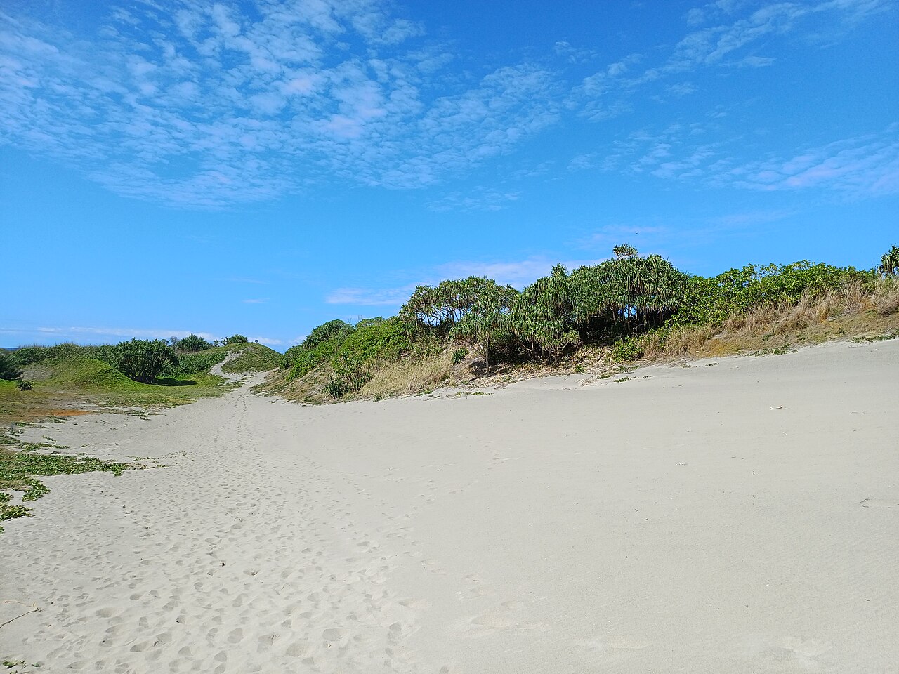 Commons: Sigatoka sand dunes