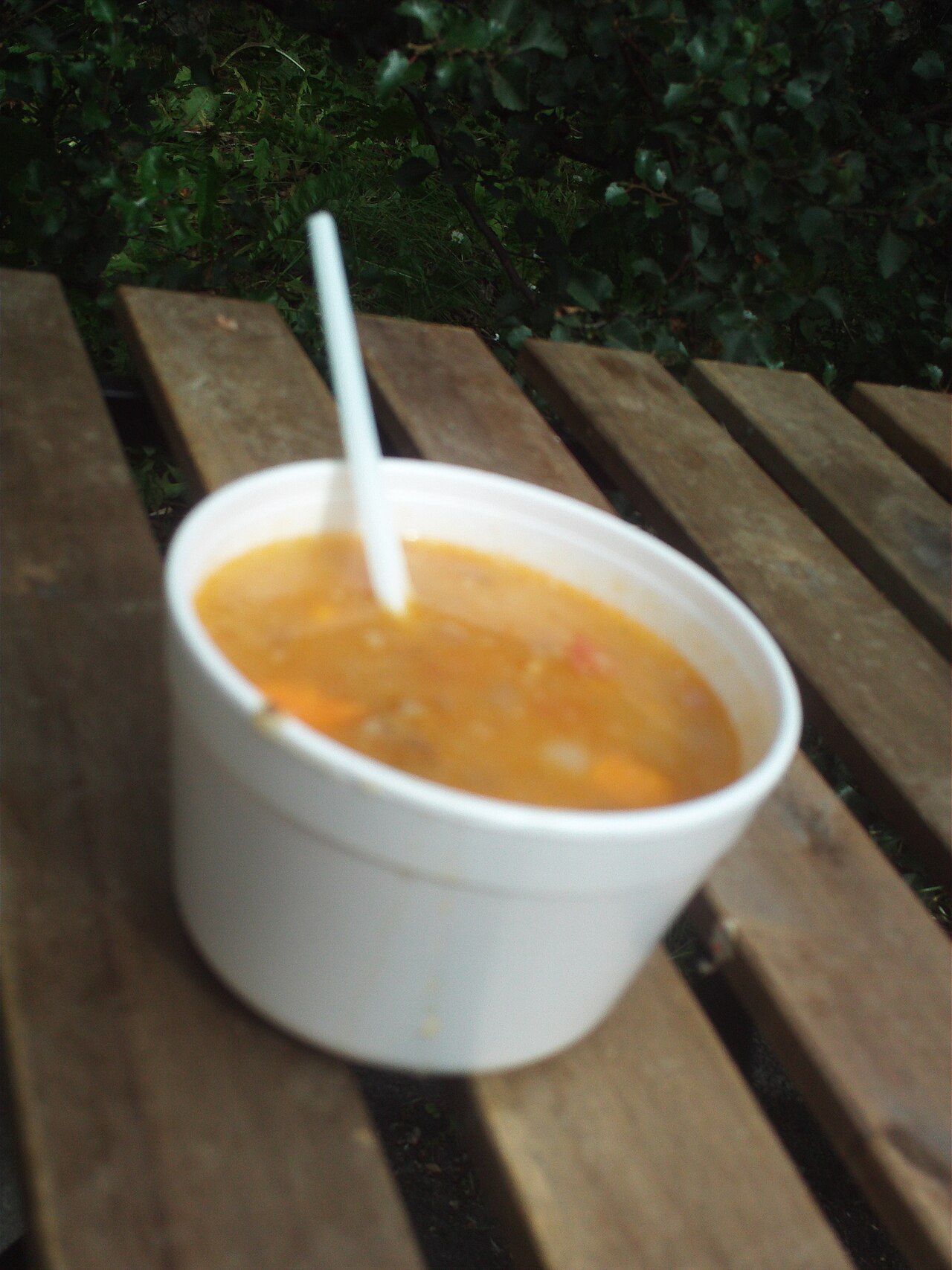 Commons: Icelandic lamb soup