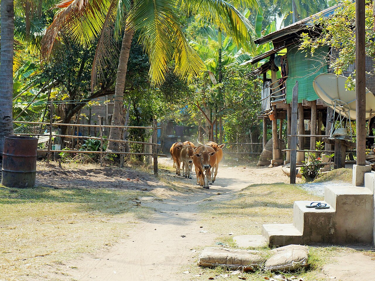 Commons: Don Khong island