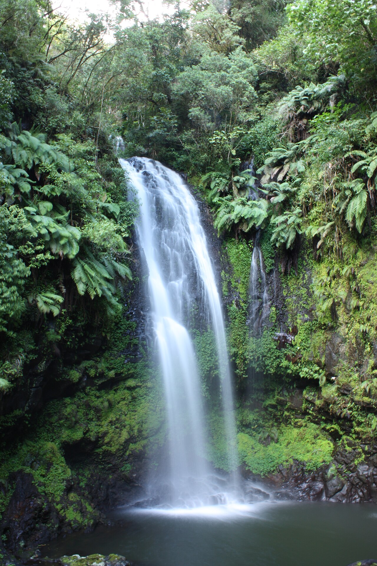 Montagne d'Ambre National Park
