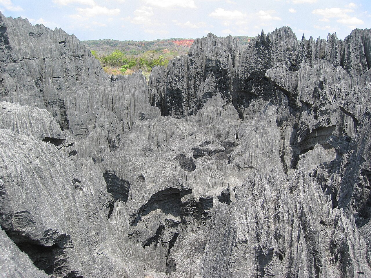 Tsingy de Bemaraha Strict Nature Reserve