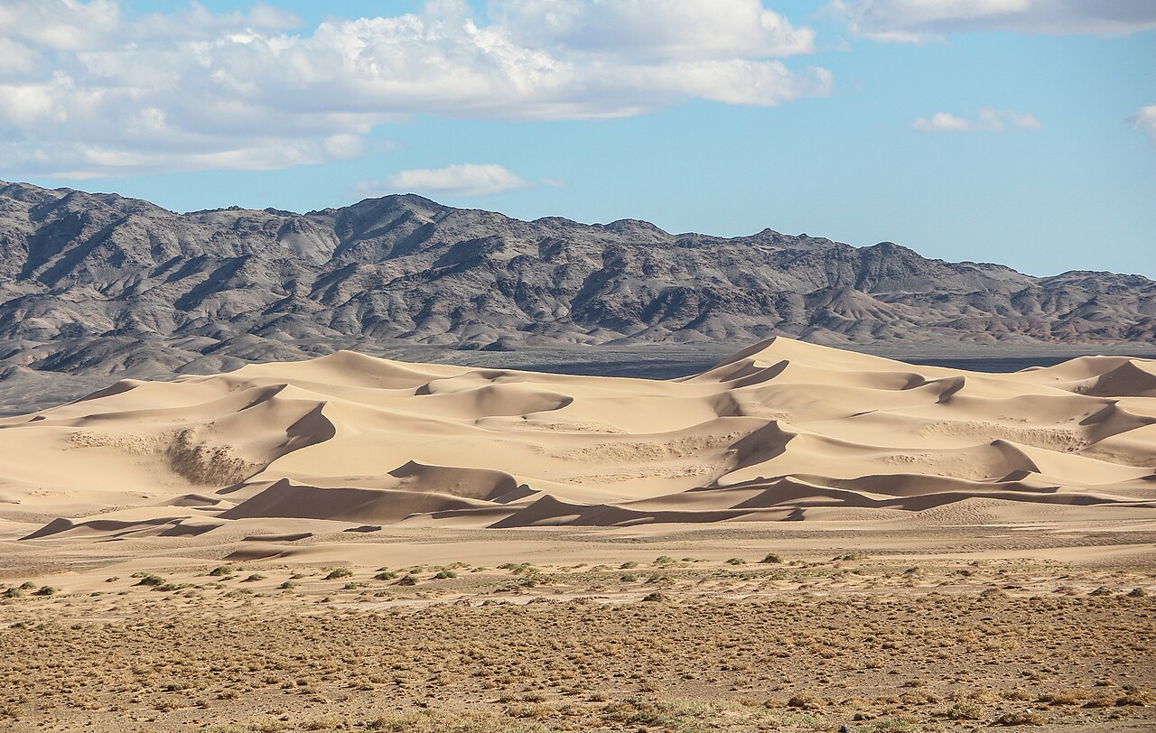 Khongoryn Els
