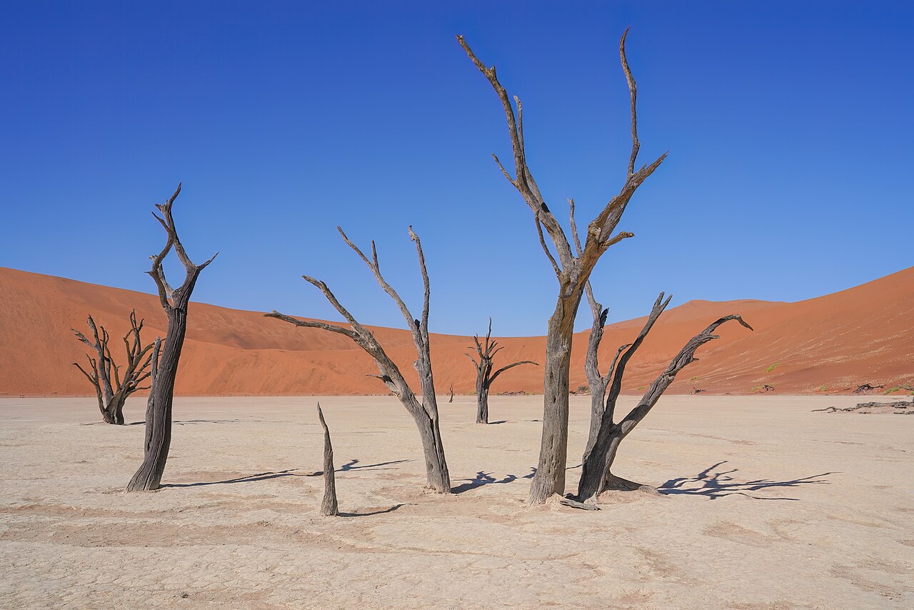 Commons: Deadvlei