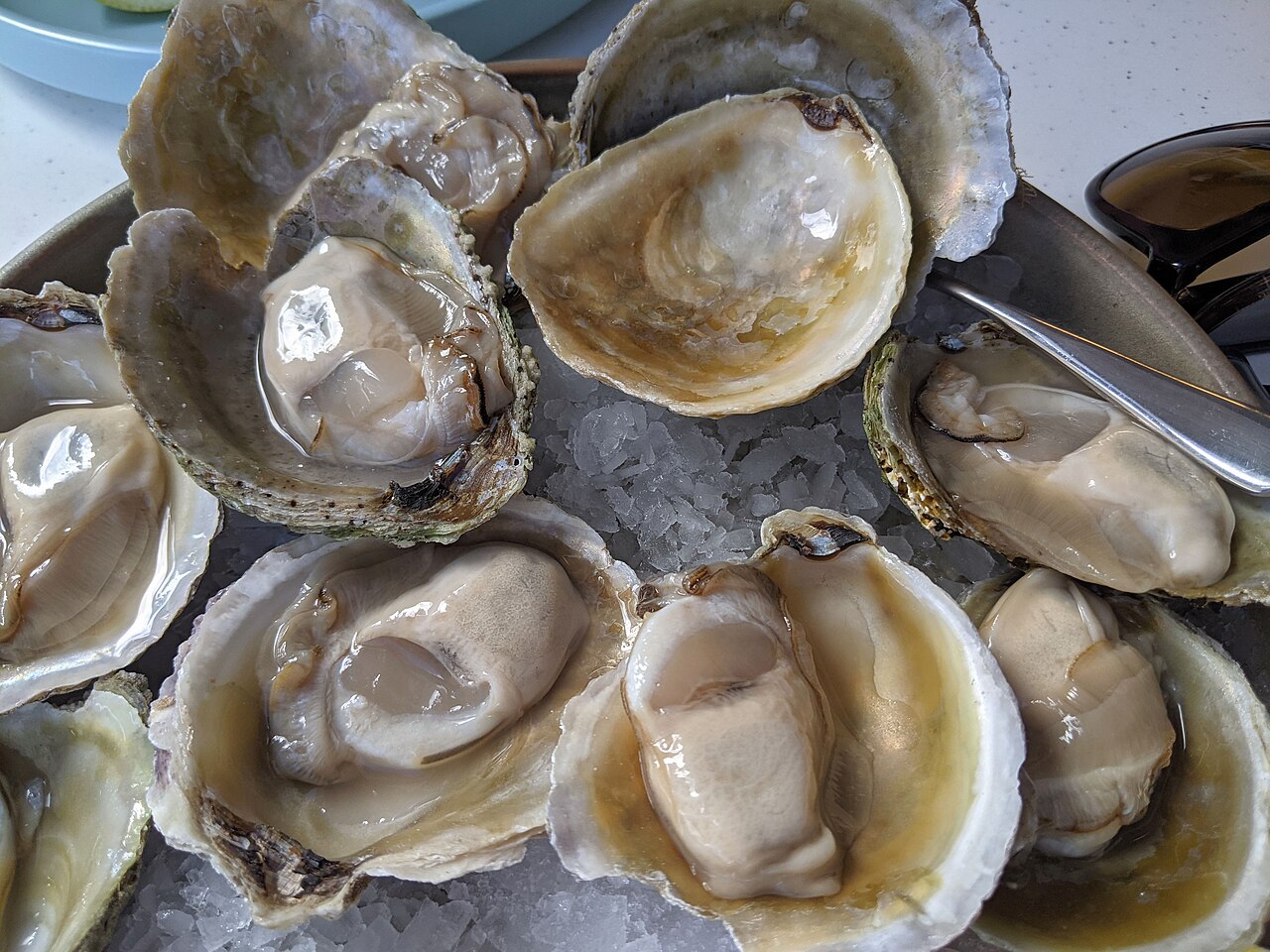 Commons: Bluff oysters