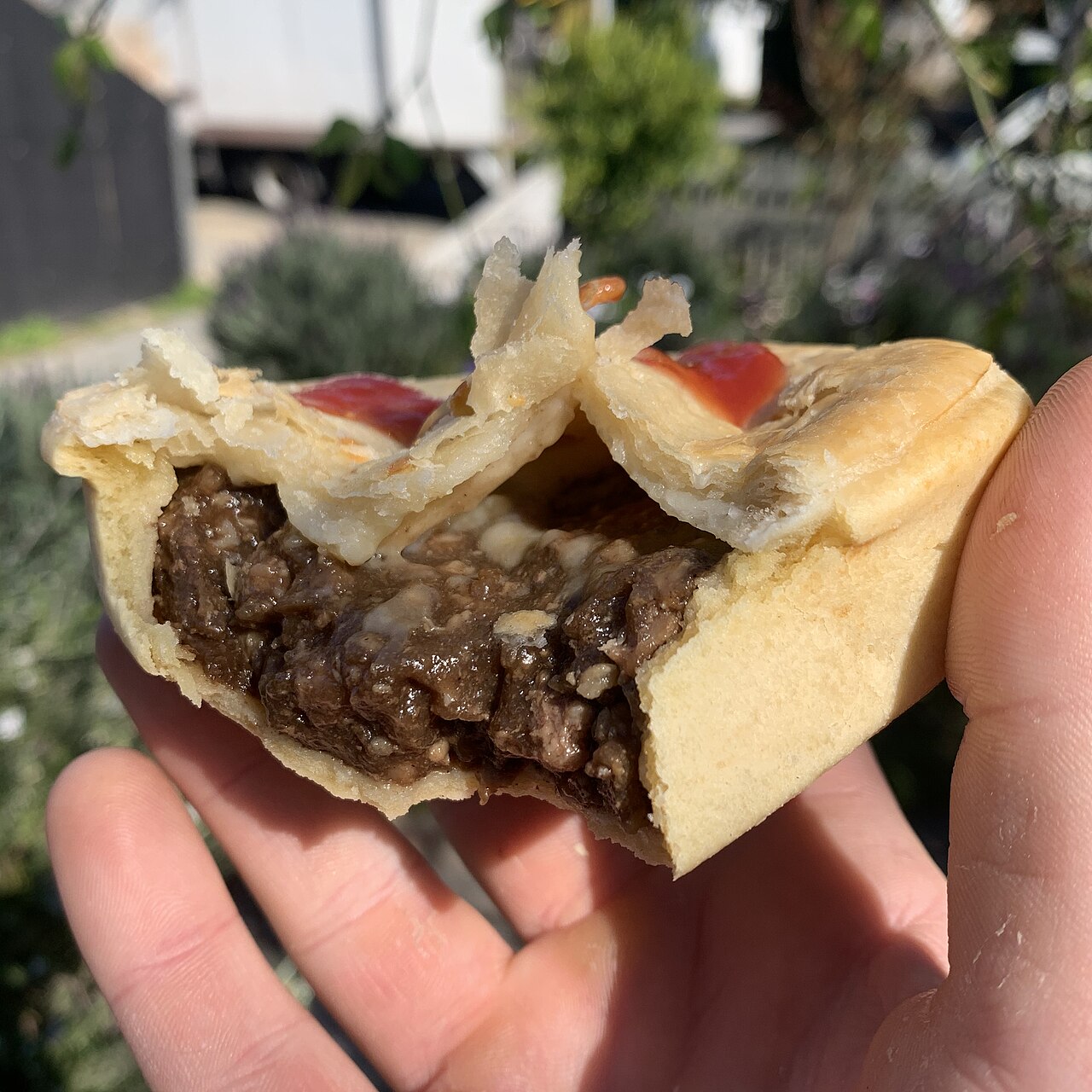 Commons: steak and cheese pie