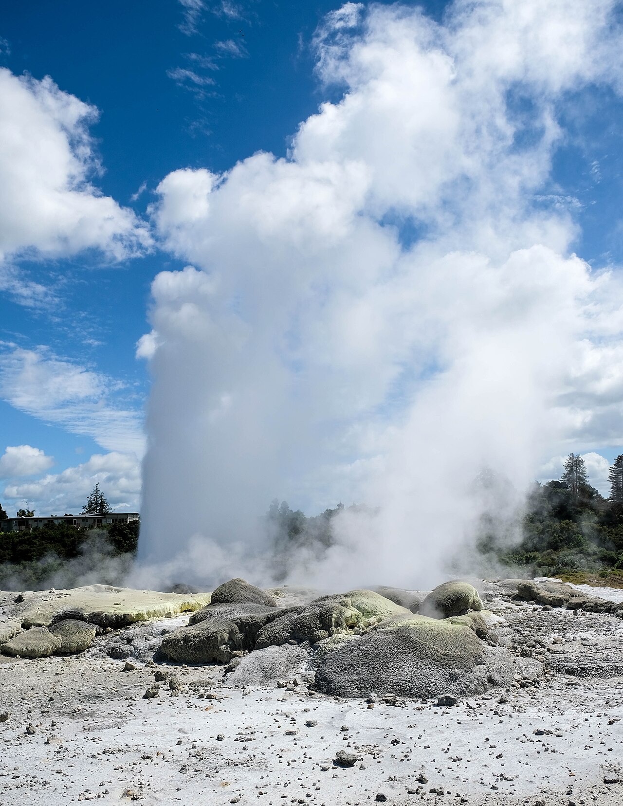 Commons: Pohutu geyser
